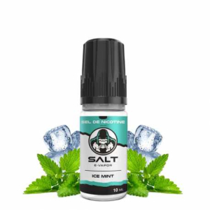 Salt E Vapor - Ice Mint